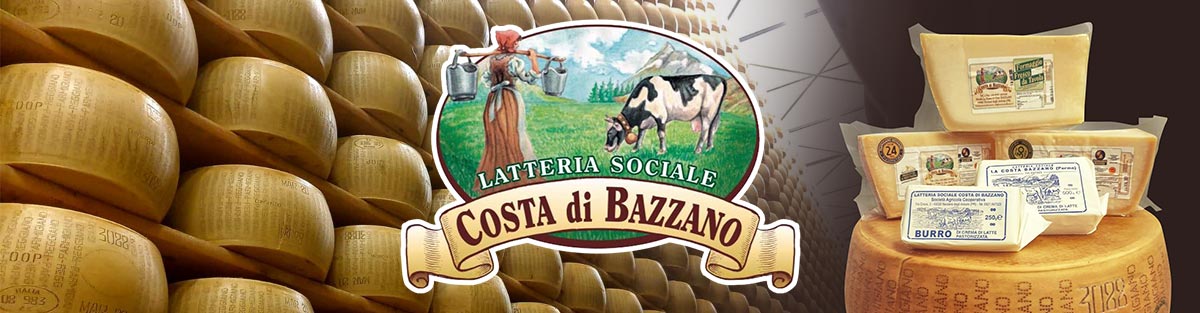 banner pulsante latteria sociale di bazzano out