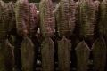IMG 20181122 WA0031